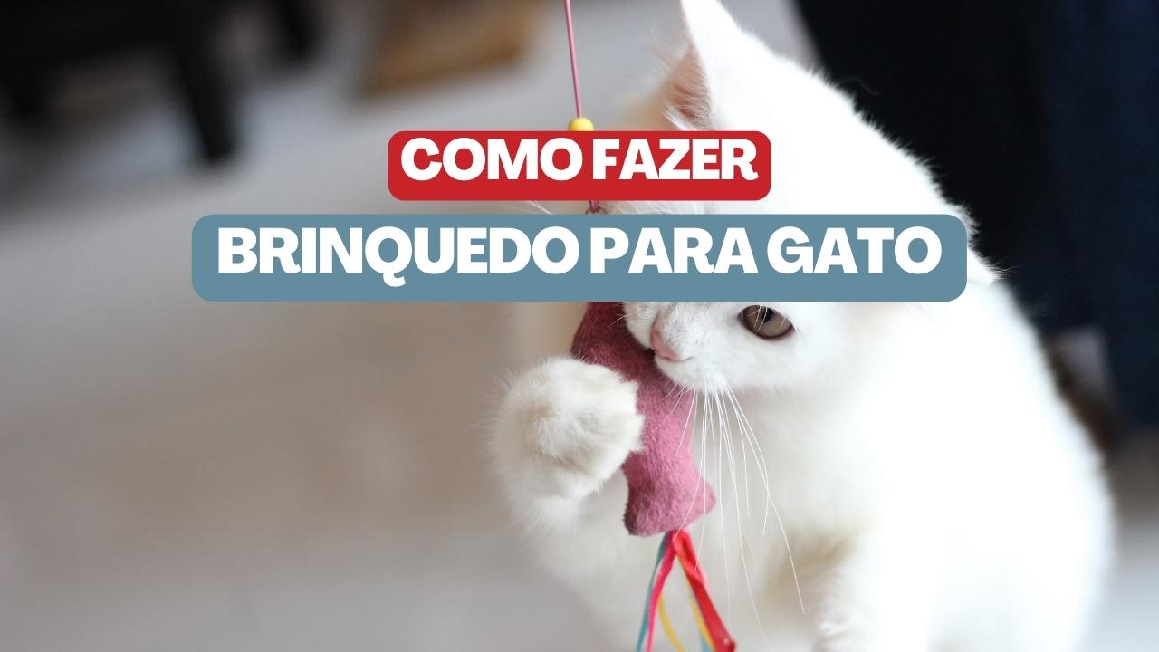 Como Fazer Brinquedos para Gatos