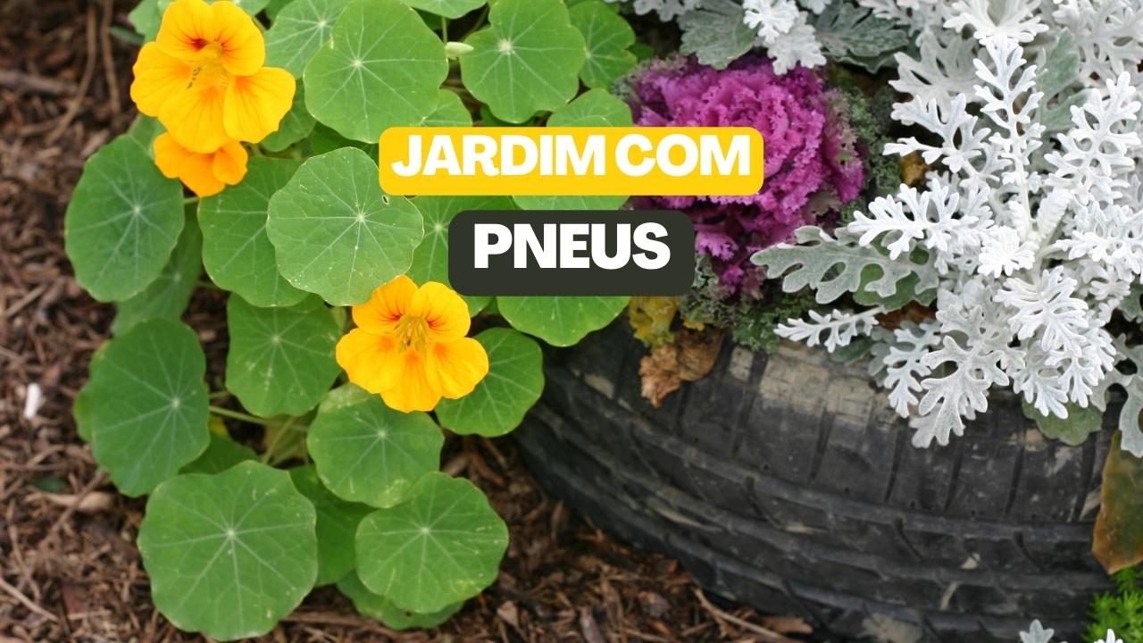 Jardim com pneus